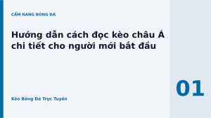 Read more about the article Hướng dẫn cách đọc kèo châu Á chi tiết cho người mới bắt đầu