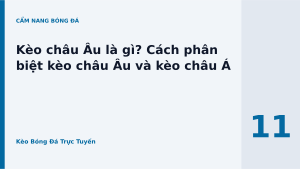 Read more about the article Kèo châu Âu là gì? Cách phân biệt kèo châu Âu và kèo châu Á