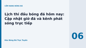Read more about the article Lịch thi đấu bóng đá hôm nay: Cập nhật giờ đá và kênh phát sóng trực tiếp